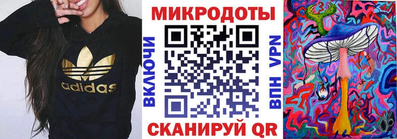 Псилоцибиновые грибы Psilocybe  Полесск 